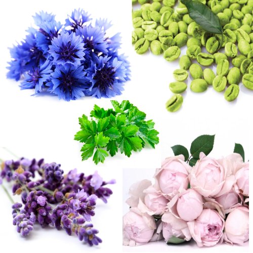 Купаж №48 CО2 экстракт для удаления мешков под глазами (водорастворимый)  